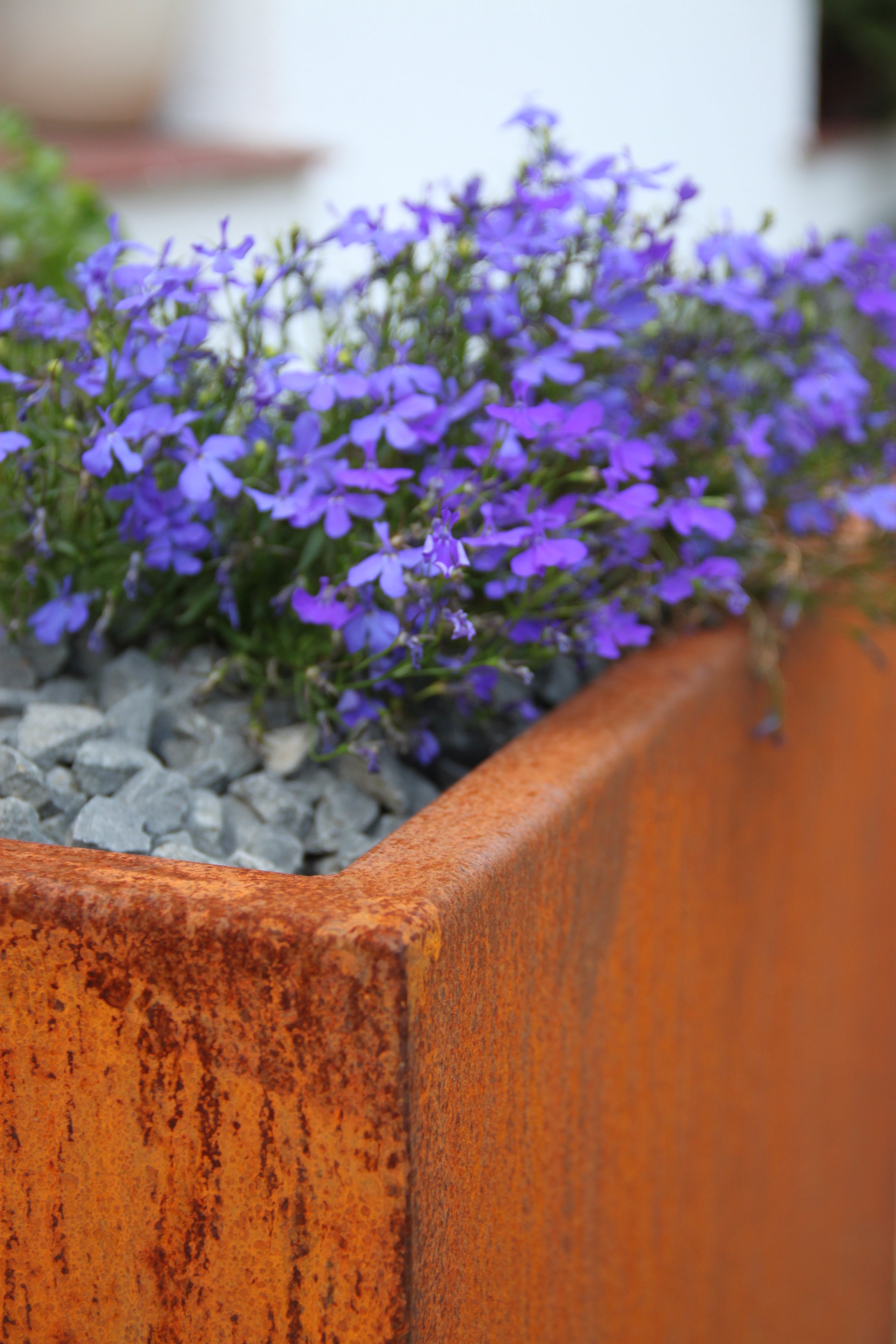 Corten sheet flowerpots, manufacturer: Metalkon